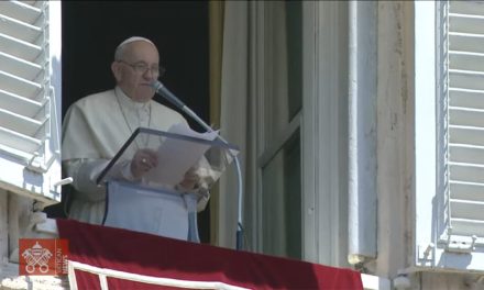 El Papa sugirió no fatigarse ni agitarse por un activismo estéril